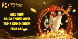 mẹo chơi đá gà thomo 888b